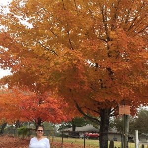 Meet your Posher, Deborah